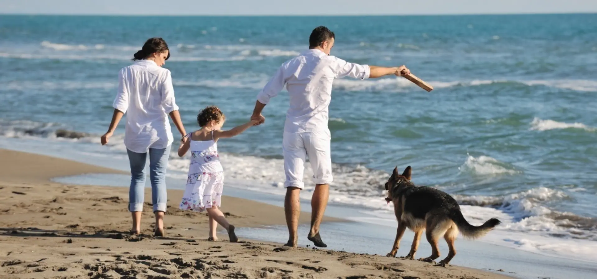 Vakantie met hond nieuw