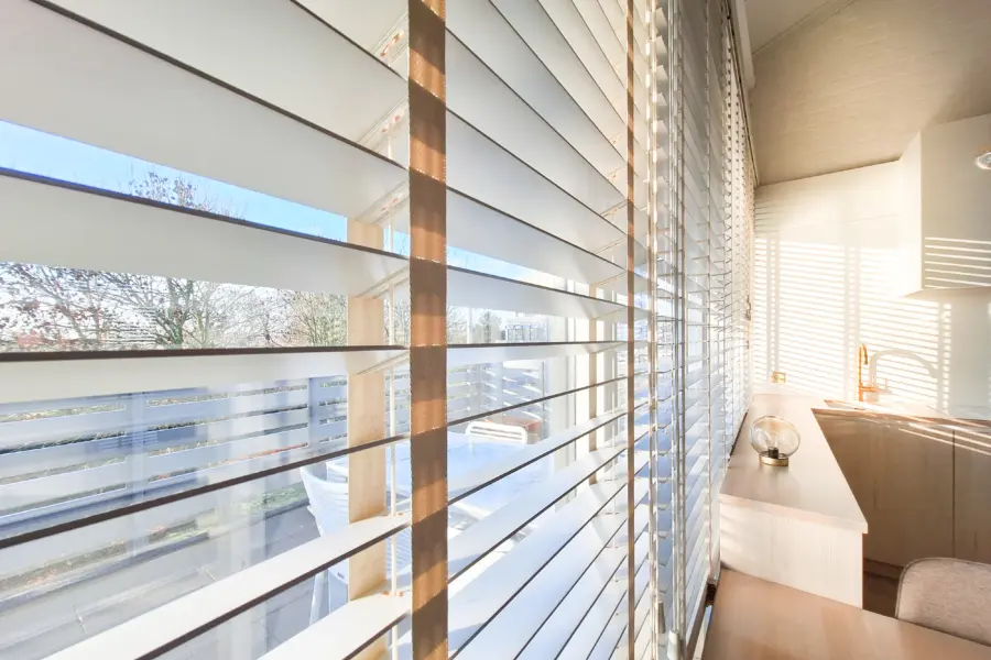 Picture76 639040845476016875