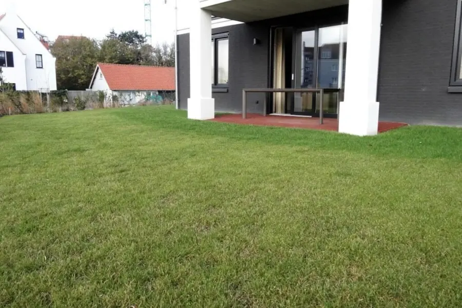 Picture76 638971770465695821