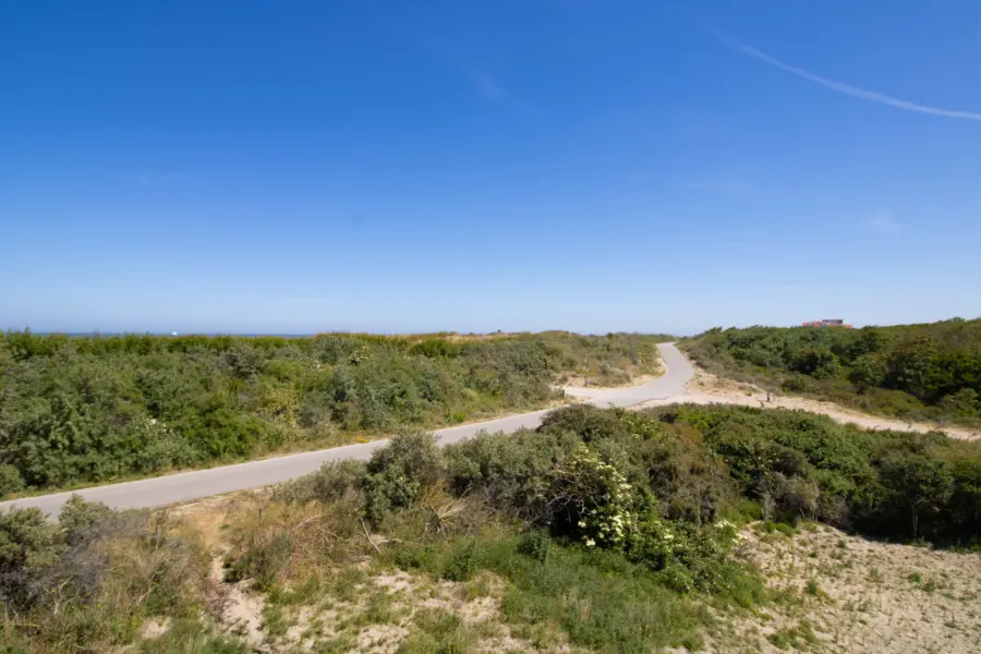 Picture76 638973414437383729