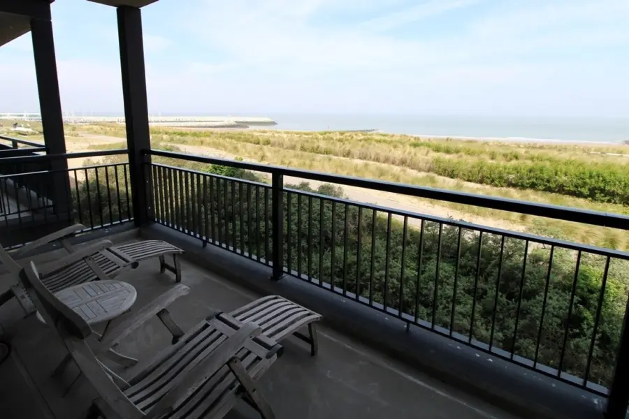 Picture76 638973421649128611