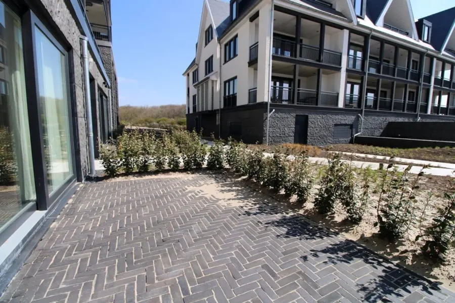 Picture76 638973438109003540