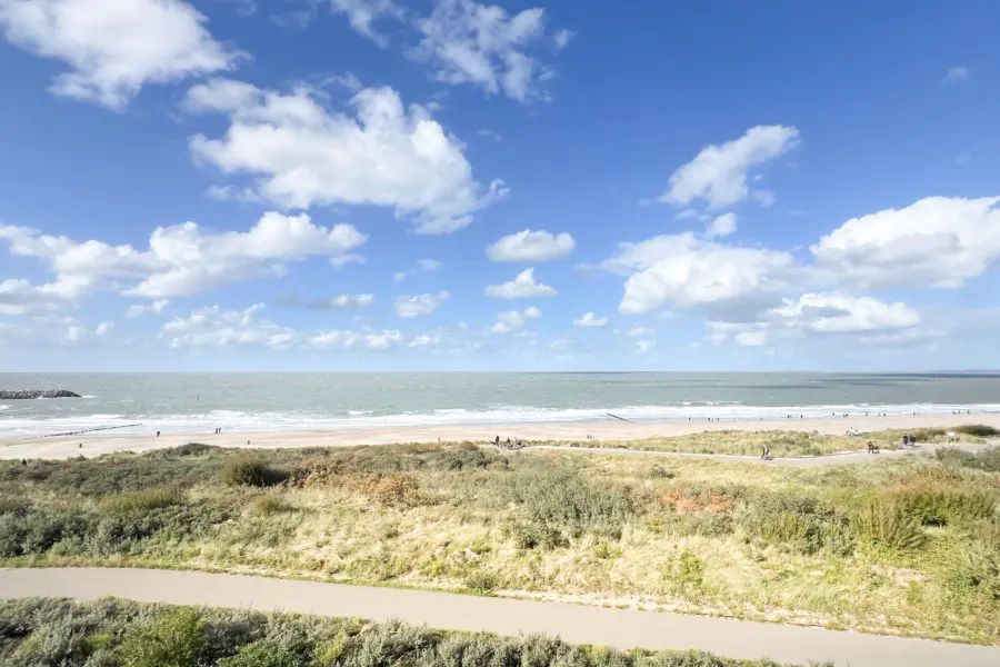 Picture76 639027062088954982